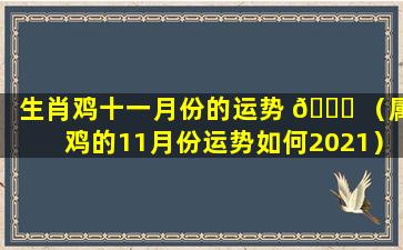 生肖鸡十一月份的运势 🐘 （属鸡的11月份运势如何2021）